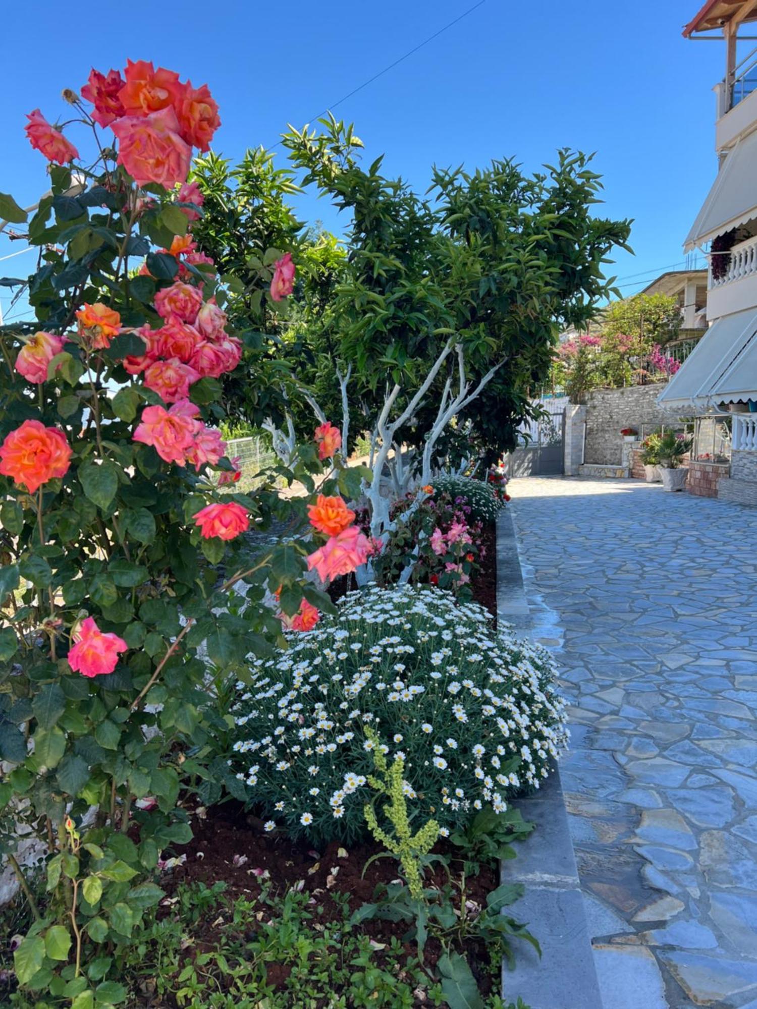 Amazing Familiar Apartments And Rooms Sarandë エクステリア 写真