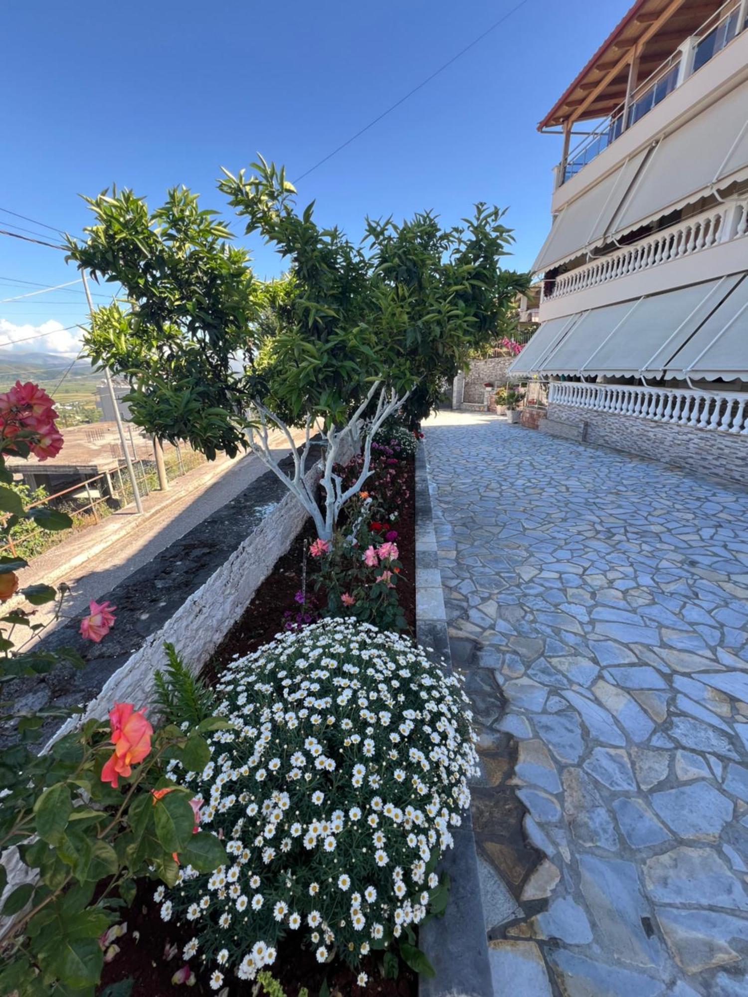 Amazing Familiar Apartments And Rooms Sarandë エクステリア 写真