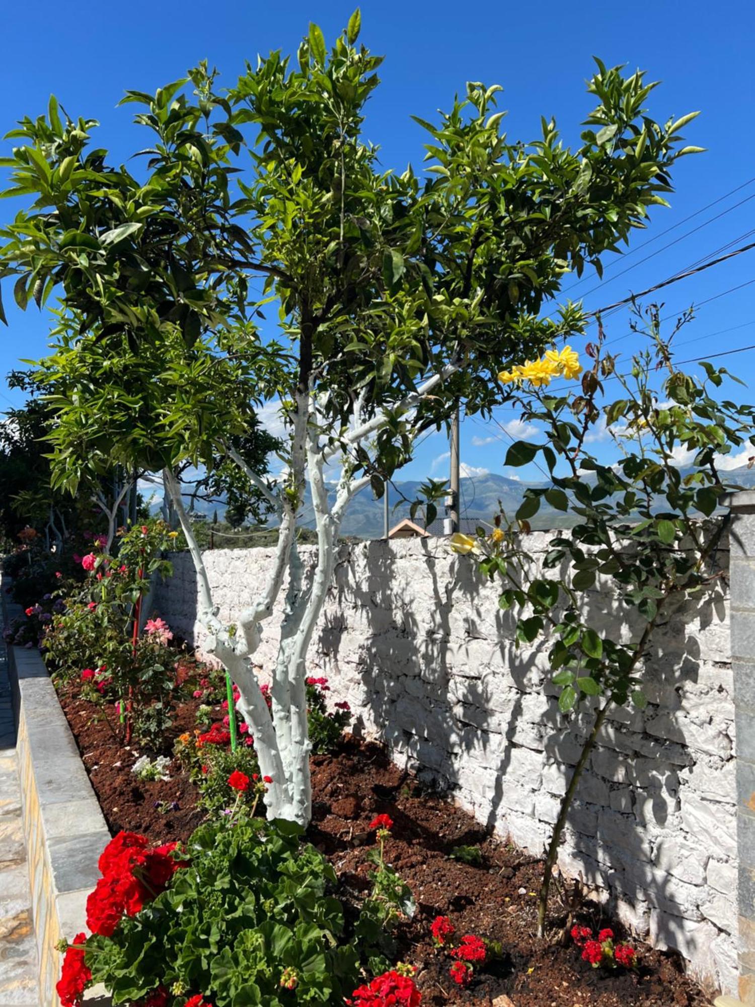 Amazing Familiar Apartments And Rooms Sarandë エクステリア 写真